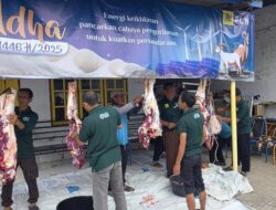 Rayakan Idul Adha, PLN UP3 Tegal Kurban 7 Ekor Sapi