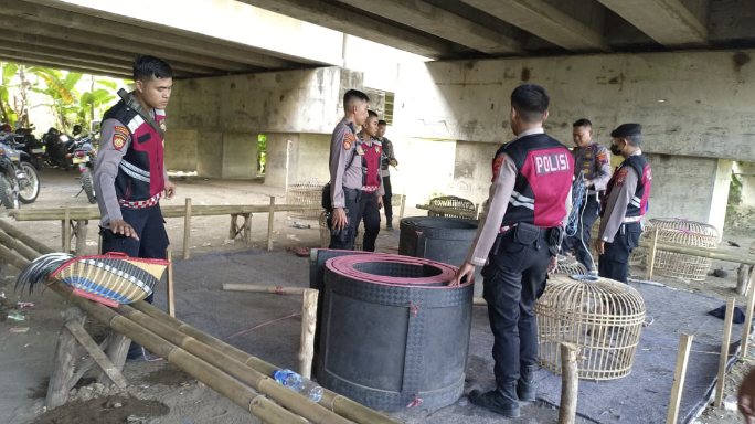 Penggerebekan Sabung Ayam di Brebes