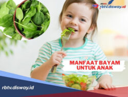 10 Manfaat Bayam untuk Pertumbuhan Anak, Bisa Jadi Camilan Bergizi