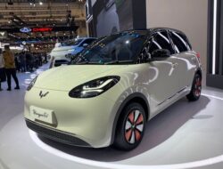 Ketidakjelasan Surat Audiensi Wuling Binguo EV: Apa Sebenarnya Terjadi?