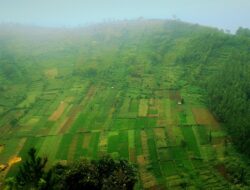 10 Destinasi Alam Magetan untuk Liburan Keluarga dan Teman