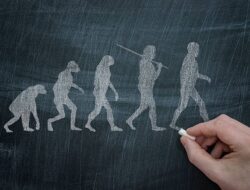 Sisa Evolusi: Organ yang Tak Lagi Diperlukan, Tapi Masih Ada