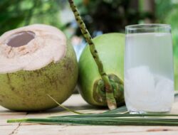 5 Orang yang Harus Hindari Minum Air Kelapa, Siapa Mereka?