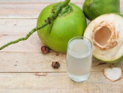 5 Kebiasaan Baik dari Minum Air Kelapa Harian