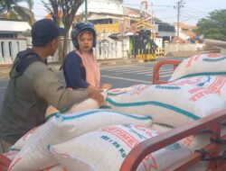 Bantuan Beras Digelontorkan, Pedagang Beras di Brebes Kelimpungan: Penjualan Turun Drastis