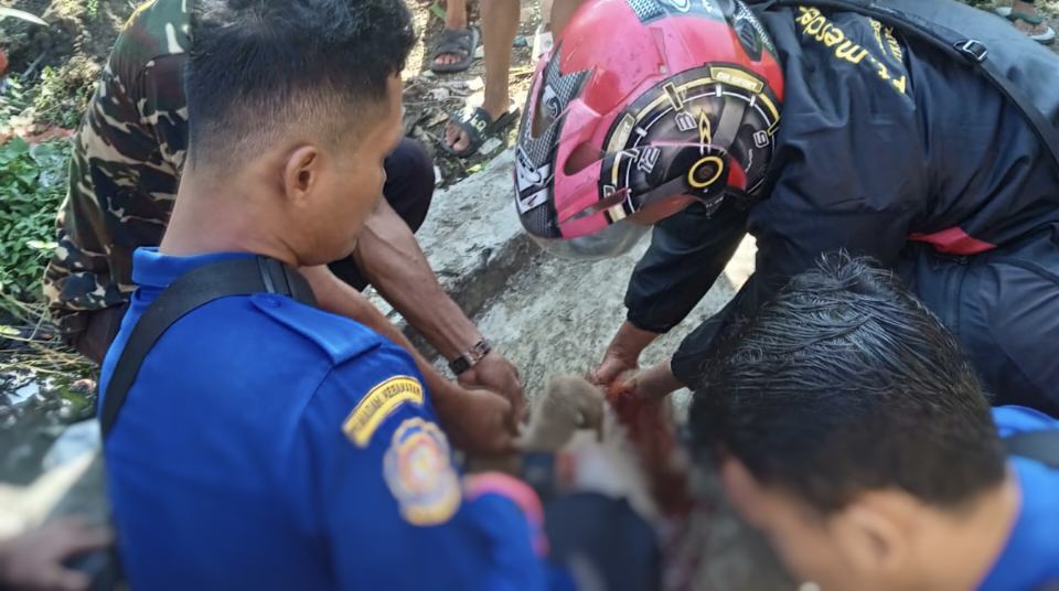 Komandan Damkar Brebes Digigit Kera