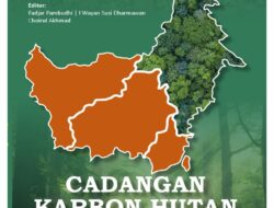Potensi Besar Karbon Biru Kalimantan Timur, Jangan Dijual Murah