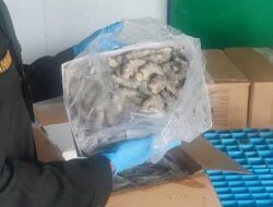 FDA Tarik Produk Udang Beku dari Walmart Karena Terkontaminasi Radioaktif