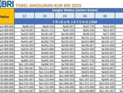 Tabel Cicilan KUR BRI 2025, Angsuran Mulai Rp20 Ribu/Bulan