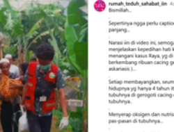 Balita di Sukabumi Meninggal Akibat Cacing, RSUD Ungkap Infeksi Askariasis dan Lingkungan