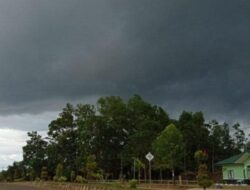 Prakiraan Cuaca Kaltara 20 Agustus 2025: Kabut Tebal dan Hujan Penuh Hari di Nunukan