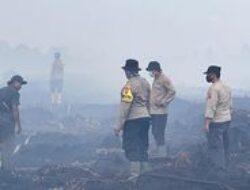Polda Jambi Selidiki Pemilik Lahan Terbakar di Gambut Jaya, Walhi Minta Penyelidikan Mendalam