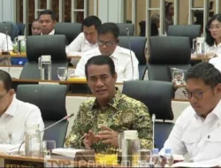 Mentan Sampaikan Instruksi Prabowo untuk Pengembangan Kelapa: Anggaran Sudah Cair
