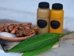 7 Manfaat Jamu Beras Kencur: Atasi Nyeri Sendi dan Lancarkan Siklus Reproduksi