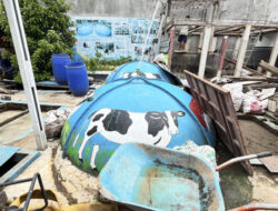 Biogas Sapi: Energi Baru untuk Dapur Warga Cikoko