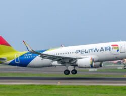 Anggota DPR Menolak Penggabungan Pelita Air dan Garuda: Kembali Berbicara, Digabung ke yang Tidak Stabil
