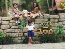 4 Taman Safari di Bogor untuk Liburan Keluarga
