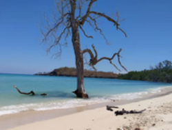 Keindahan Pantai Lingal, Surga Pasir Putih yang Terabaikan