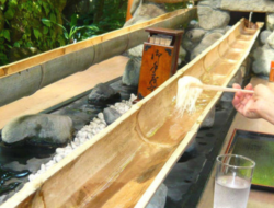 Nagashi Somen, Tradisi Makan Mi Mengalir di Atas Bambu yang Jadi Simbol Musim Panas Jepang