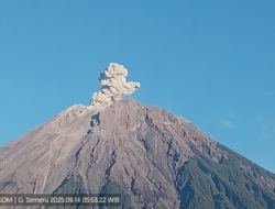 Gunung Semeru Meletus, Petugas Lumajang Laporkan Ketinggian Abu 800 Meter di Atas Puncak