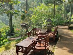 5 Cafe Alam Terbaik di Bogor, Pelarian Ideal dari Kesibukan Jakarta