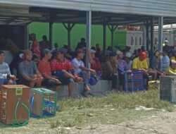 Ribuan Pecinta Merpati Kolong dari Berbagai Daerah Ikuti Lomba di Slatri Brebes