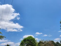 Cuaca Bogor Hari Ini, Berawan Tanpa Hujan