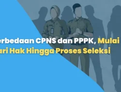 Sistem Seleksi CPNS dan PPPK Dikaji Ulang, Banyak Kejutan Menanti