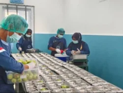 Zulhas Sebut Penerima MBG Meningkat, Ekonom Minta Data Penurunan Stunting Diungkap