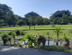 Itinerary Bogor 2 Hari 1 Malam dengan Bujet Rp 2 Jutaan: Kebun Raya dan Puncak