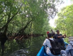 20 Persen Hutan Mangrove Dunia Ada di Indonesia
