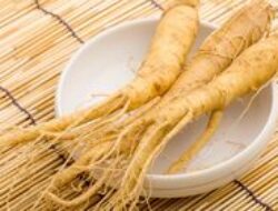Ginseng: Rahasia Kehidupan Panjang dari Akar Ajaib Asia
