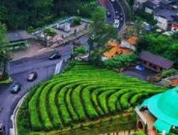 9 Destinasi Wisata Menarik di Ciater Subang yang Harus Dikunjungi