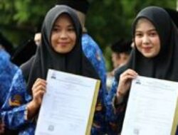 Dari Verifikasi Data hingga Pertek: Mengapa SK PPPK Tidak Keluar?