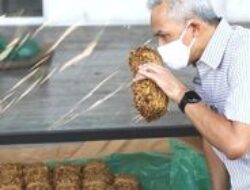 Di Balik GGRM: Keluarga Wonowidjojo, Pengendali Gudang Garam yang Langka Dikenal
