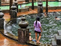 Wisata Petik Strawberry di Guci Bumijawa, Tegal