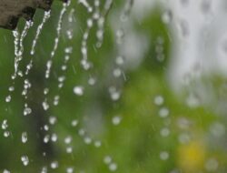 Mikroplastik di Air Hujan Jakarta: Asal dan Bahaya bagi Kesehatan