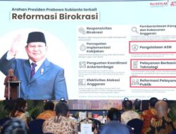 Reformasi Birokrasi: Akselerasi Kolaborasi K/L/D dalam Satu Tahun Kabinet Merah Putih