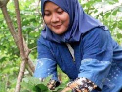 Alfira Oktaviani Lindungi Kulit Kayu Lantung dengan Ecoprint di Bengkulu