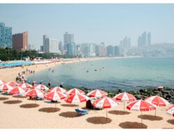 Itinerary Busan 3 Hari 2 Malam dengan Bujet Rp 3,5 Juta untuk Solo Traveling Seru dan Hemat