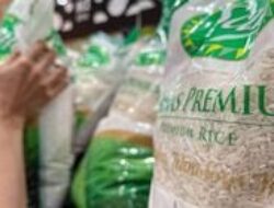 Harga Cabai dan Beras Turun, Bapanas Catat Penurunan Harga Pangan Nasional