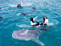 Konservasi: Kunci Keberlanjutan Wisata Hiu Paus Botubarani