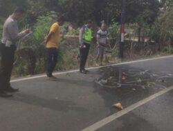 Kronologi Kebakaran Maut yang Tewaskan 4 Anak di Rasuan OKU Timur, Orangtua Korban Tidak Ada di Rumah