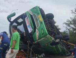 Empat Orang Meninggal setelah Bus Wisata Terguling di Tol Pemalang–Batang