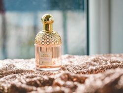 Parfum Saff and Co, Pilihan Tercantik untuk Koleksi Wewangian Pribadimu