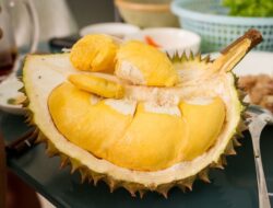 Perebutan Gelar Durian Buah Nasional RI-Malaysia