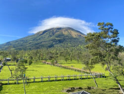 Pesona Kebun Teh di atas Awan Sikatok Wonosobo