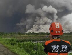 Gunung Semeru Erupsi dan Ratusan Warga Mengungsi, BNPB Pantau Aktivitas Vulkanik