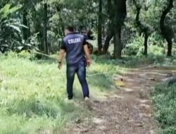 Guru asal Kota Tegal Ditemukan Tewas di Hutan di Songgom Brebes, ada Dugaan Pembunuhan