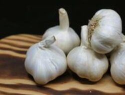 Bawang Putih: Manfaat, Kandungan, dan Cara Konsumsi yang Benar